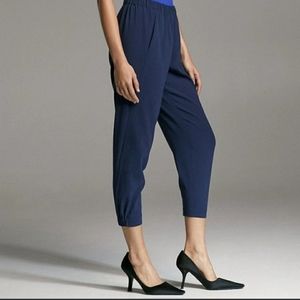 Aritzia Babaton Dexter Pant